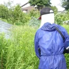 草刈り